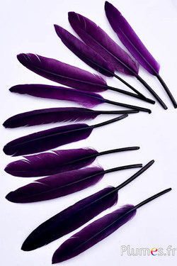 Oie Lame - 10-15 cm - prune-aubergine